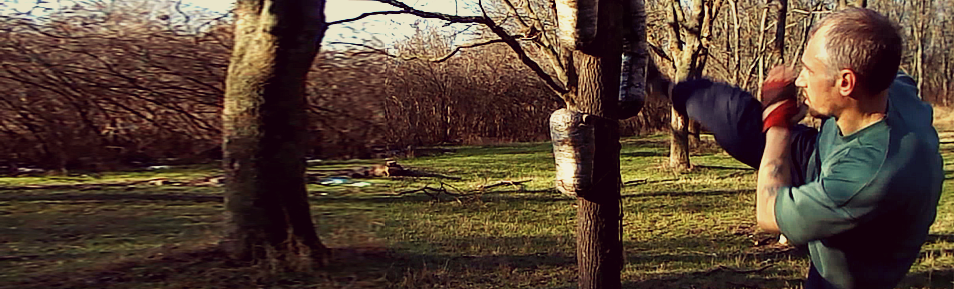 Into The Wild